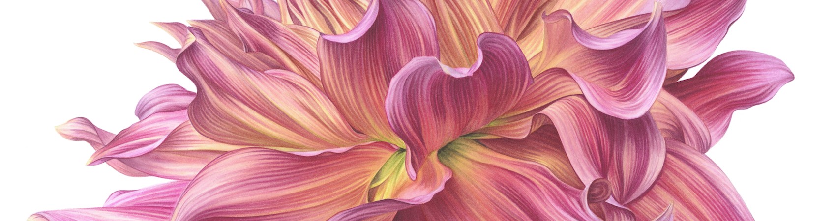 Ingrid Elias - Dahlia Caf&eacute; au lait